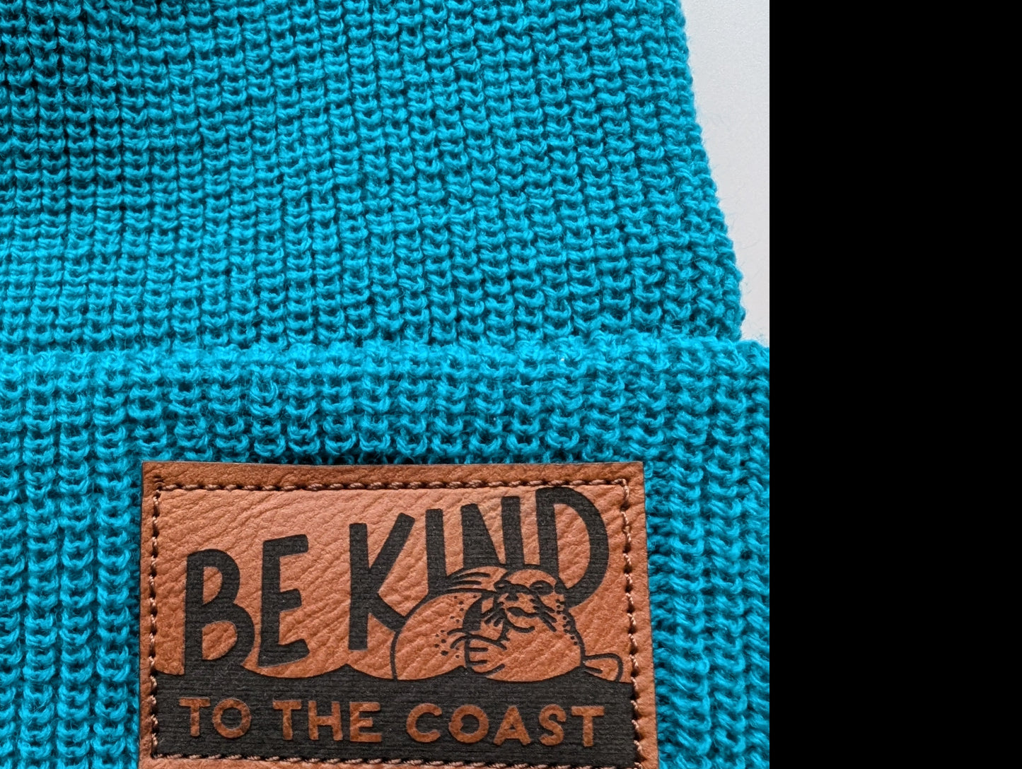 Be Kind To the Coast - Seal - Beanie
