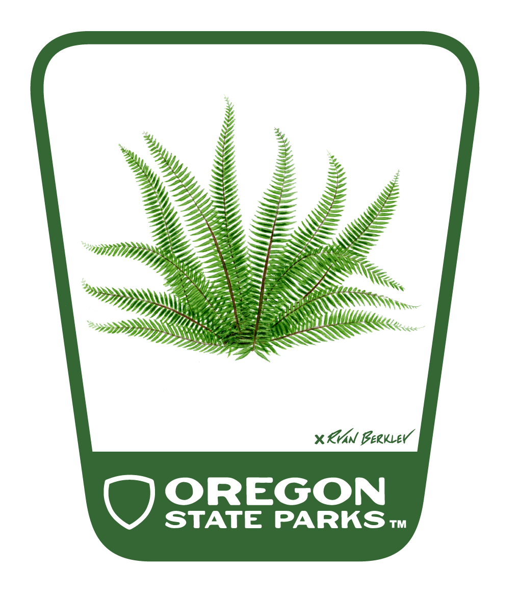 Ryan Berkley - Fern 3.25" Weatherproof Sticker